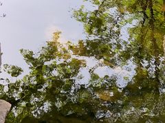 -重庆彩云湖湿地公园