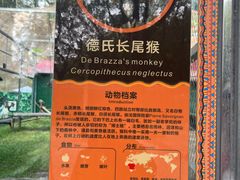 -深圳野生动物园