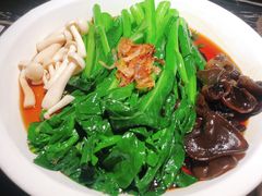 白灼菌菇菜心-新白鹿餐厅(虹桥南丰城店)