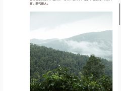-万达广场(松江店)