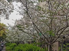 -昆山城市公园
