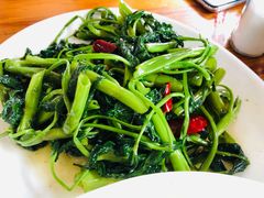 -白家高记肥肠粉(总店)