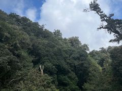 -云南屏边大围山国家公园