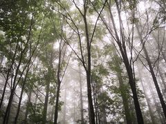 -洛阳白云山景区