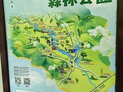 -广州白江湖森林公园