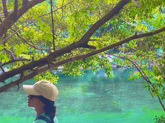 -石台牯牛降景区