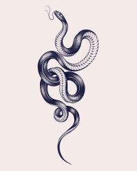 点击看大图 -针牛刺客·刺青纹身