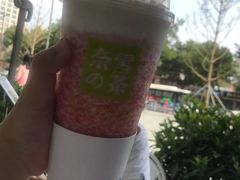 -奈雪的茶(石家庄万象城店)