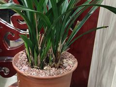 -聚宝渔港.五钻酒家(上地店)