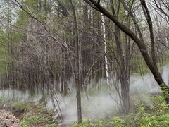 -帽儿山风景区