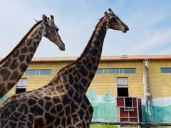 -鄂尔多斯野生动物园