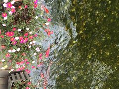 -幽篁里古琴制作中心