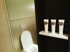 -新加坡瑞士史丹福酒店