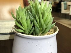 -舟山希尔顿酒店