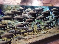 -波塞冬旅游度假区