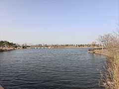 -盐城丹顶鹤湿地生态旅游区
