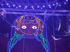 -俄罗斯国家大马戏团