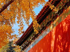 -灵谷景区