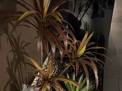 -湊湊火锅·茶憩(卓展店)