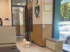 -瑞派康怡24h宠物医院·犬猫医疗中心·微创绝育(瑞景分院)