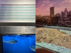 -白鹤梁水下博物馆