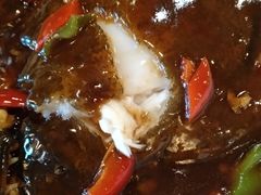 -鸢飞潍坊菜馆(鸢飞大酒店)