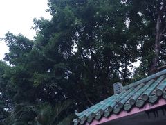 -晓港公园