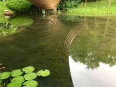 -云溪植物园