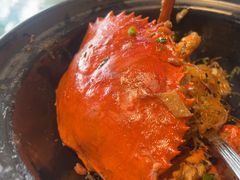 -侨美·唐荔园·40年地道粤菜