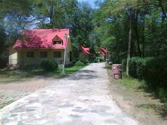 android_upload_pic-顺鑫绿色度假村