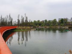 -桂溪生态公园