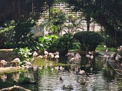 -九龙公园