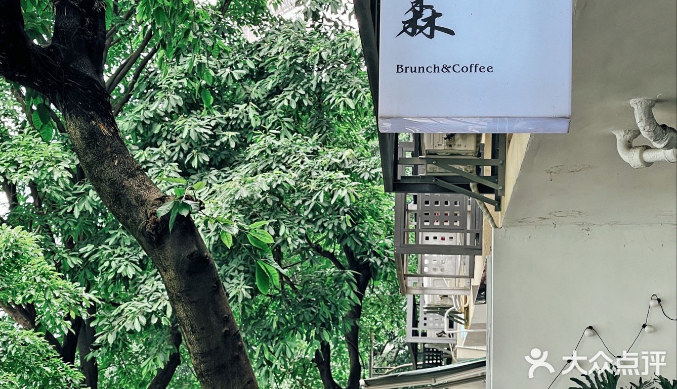 莎拉来啦｜网红戴家巷▪️来巷森撸猫呀🐱