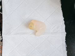 -自然之声助听器·呼吸机(公园路店)