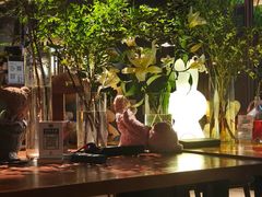 -咖法森林·咖啡  酒吧(天河店)