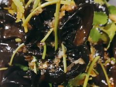-老雒阳面馆·水席·洛阳菜(偃师店)
