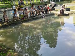 -乌村