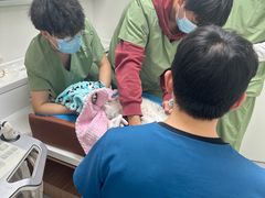 -达爱动物医院·犬猫分区·CT·复杂眼科(远洋山水分院)