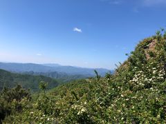 -阳台山自然风景区