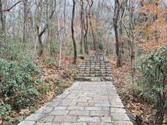 -南山风景名胜区