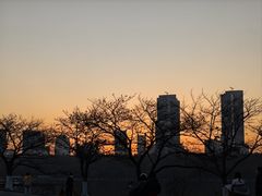 -金茂览秀城