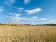 -野鸭湖国家湿地公园