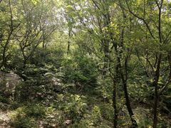 -棋盘山风景区