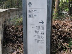 -广州市石门国家森林公园