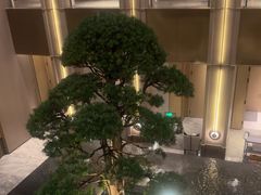 -外滩·云南人家(昆明旗舰店)