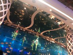 -瑞德姆美人鱼海底演艺主题餐厅(亚龙湾店)