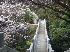 -梧桐山风景名胜区