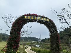 -梧桐山风景名胜区