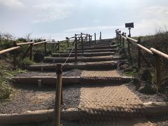 -涉地可支