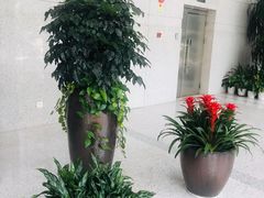 -深圳悦如酒店(香蜜公园车公庙地铁站店)